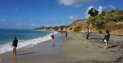 Beach in Vieques Puerto Rico