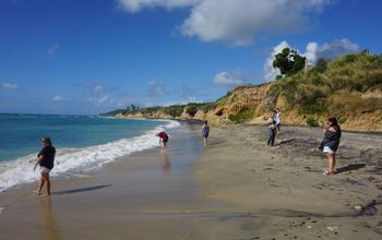 Beach in Vieques Puerto Rico