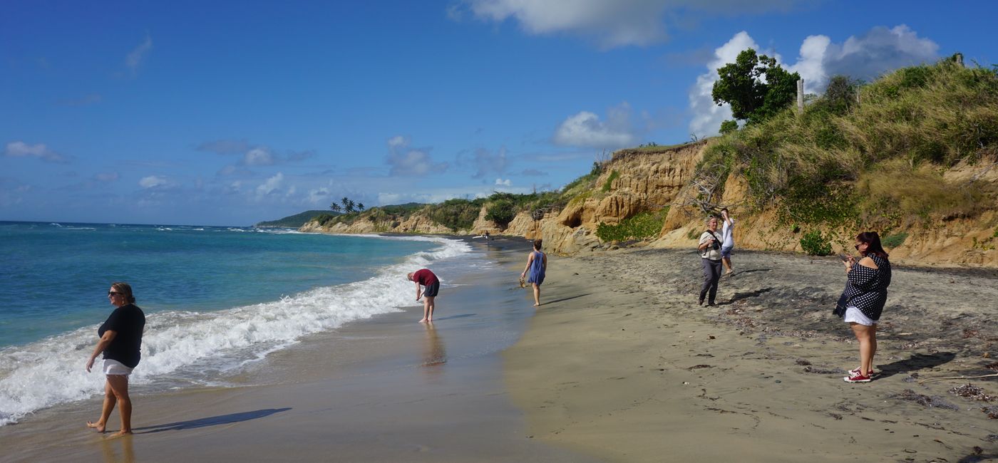 Image: “The Green Path” identifies sustainable tourism options across Puerto Rico. (Photo by Brian Major)