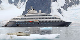 Scenic Group, Scenic Eclipse, antarctica cruises, leopard seals