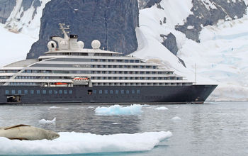 Scenic Group, Scenic Eclipse, antarctica cruises, leopard seals
