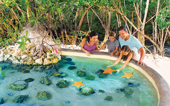 Touch tank at an aquarium in Marathon, Florida.