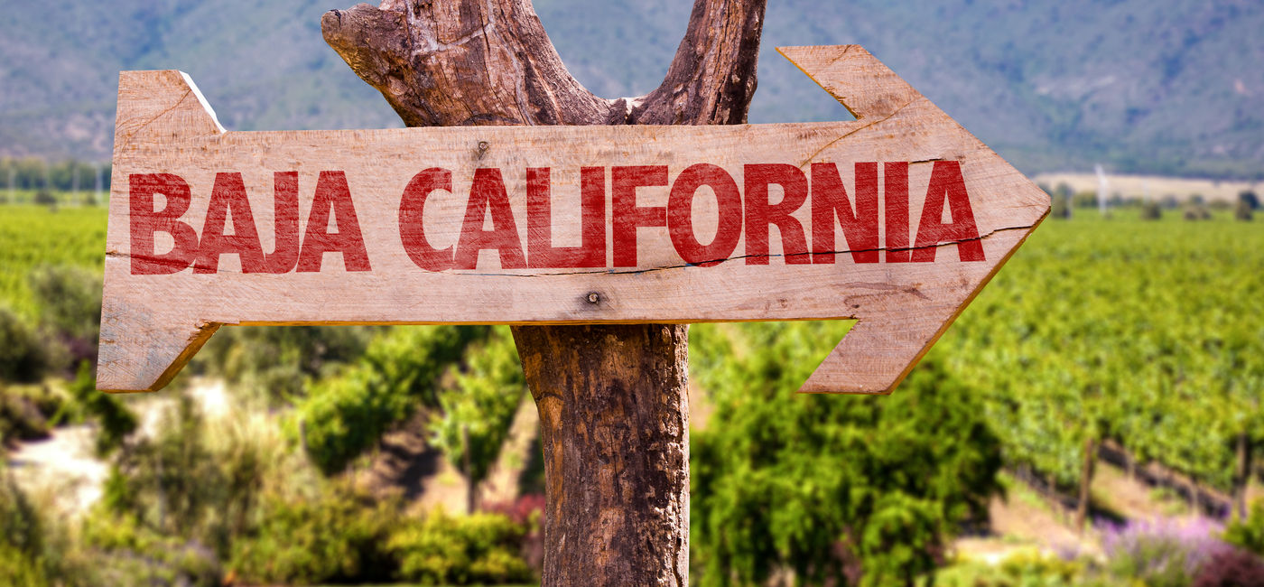 Image: Les conseillers en voyages peuvent visiter le salon en tant qu’acheteurs invités et prendre part à un voyage FAM à Valle de Guadalupe (Source: gustavofrazao / Adobe Stock)