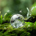 Sustainable travel