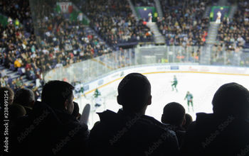 Hockey fans