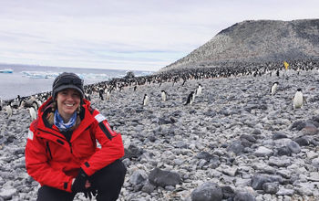 Beth Mercier in Antarctica