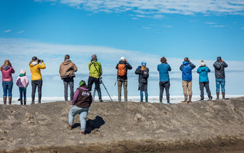 Utqiagvik Migratory Bird Festival