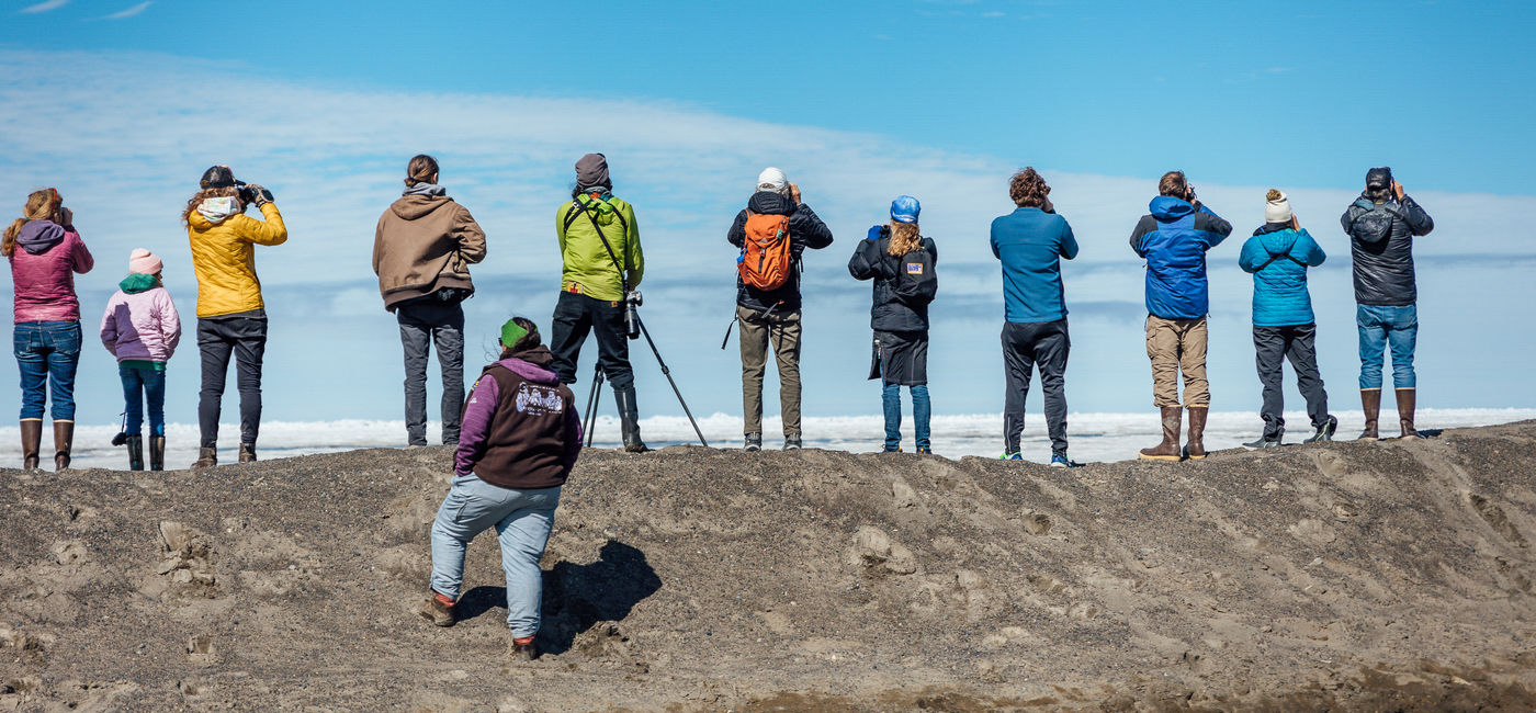 Image: The National Audubon Society was one of this year's grant recipients, with a project to expand ecotourism in Alaska with a focus on birding trails (Photo Credit: Utqiagvik Migratory Bird Festival)