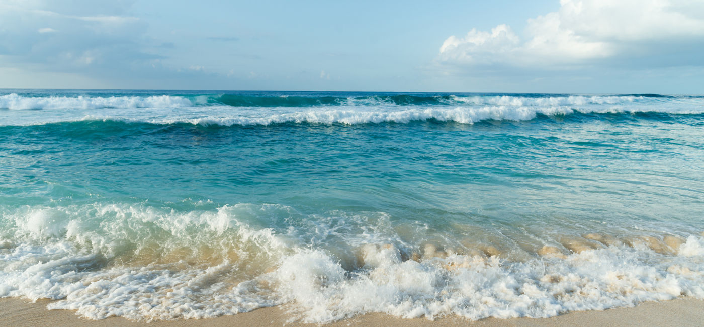 Image: Wave washing up on a beach in Oahu, Hawaii. (Photo Credit: Christopher Boswell / Adobe Stock)