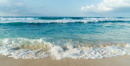 Wave washing up on a beach in Oahu, Hawaii.