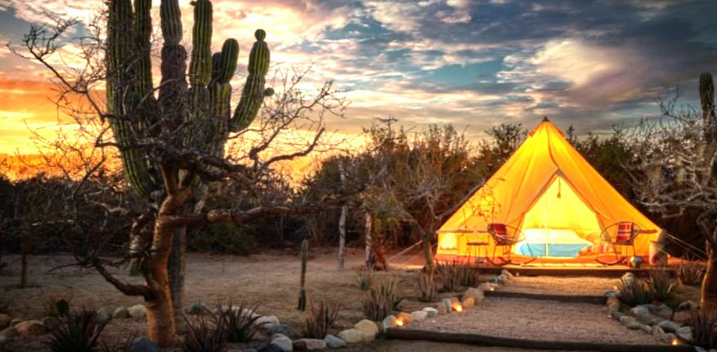 Turn Up the Adventure in Los Cabos