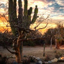 Turn Up the Adventure in Los Cabos