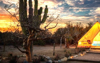 Turn Up the Adventure in Los Cabos