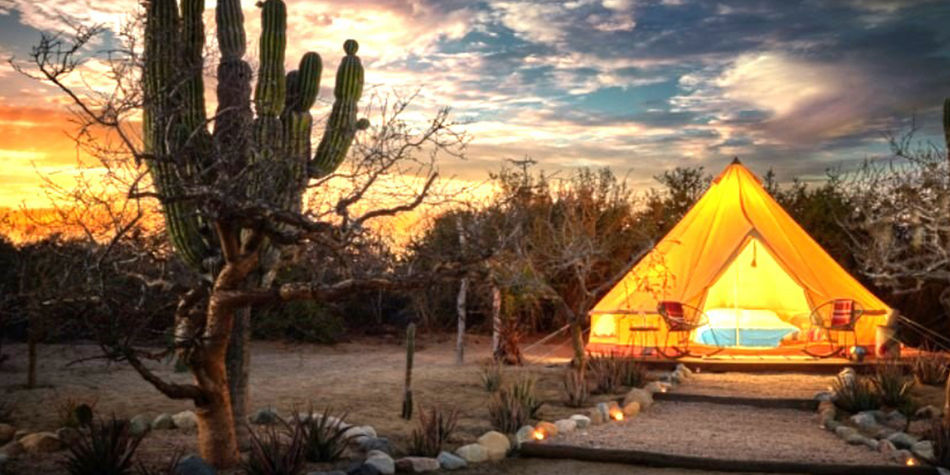 Turn Up the Adventure in Los Cabos