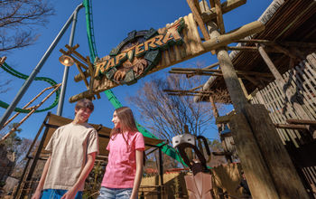 Rapterra, roller coasters, new roller coasters 2025, kings dominion