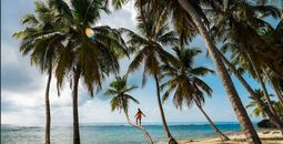 Taste the Paradise of the Dominican Republic