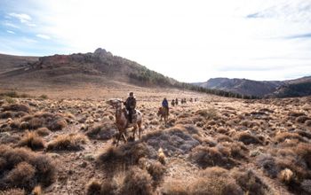 Horseback riding in Bariloche