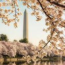 America 250th Sale: Save up to $400