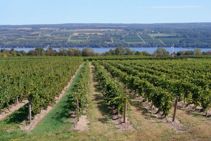 Seneca Lake, Finger Lakes, New York Winery at Seneca Lake, Finger Lakes, New York.