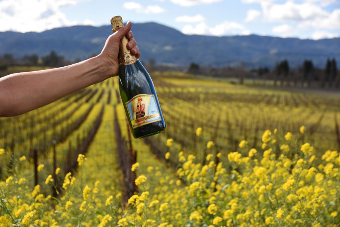 Destinations Famous for Their Blooms

Sonoma, wine tourism, spring tourism, flower tourism, mustard flowers, wineries
