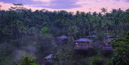 Global Hotel Alliance, Capella Ubud, green collection, sustainable hotels in bali, luxury bali hotels, luxury bali resorts, eco-friendly resorts