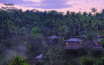 Global Hotel Alliance, Capella Ubud, green collection, sustainable hotels in bali, luxury bali hotels, luxury bali resorts, eco-friendly resorts