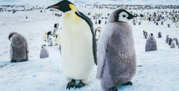 Early Booking Bonus - Save Up to $2,000 USD + 10% + Unlock an additional 5% with Full Payment