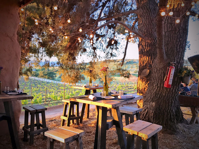 La ruta del vino del Valle de Guadalupe, en Baja California, es de los destinos más disfrutables del planeta. (Photo via: T.Tseng/Flickr).