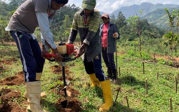 G Adventures' Trees For Days program - Sri Lanka