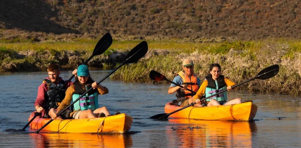 Uncover the Many Sides of Baja California