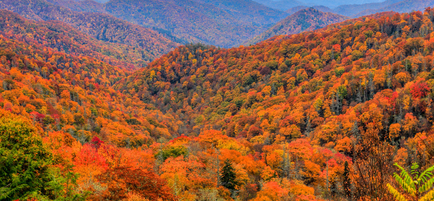 Image: Autumn colors in Great Smoky Mountains National Park. (Photo Credit: Adobe Stock/Sean Board)