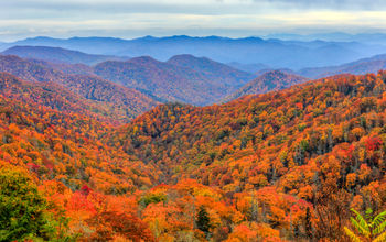 Autumn colors in Great Smoky Mountains National Park.