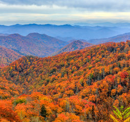 Autumn colors in Great Smoky Mountains National Park.