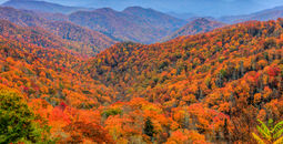 Autumn colors in Great Smoky Mountains National Park.