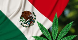 Mexico Weed, Mexico flag marijuana, 
