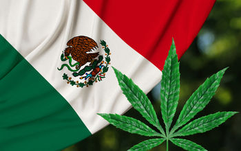 Mexico Weed, Mexico flag marijuana, 