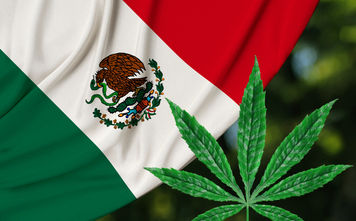 Mexico Weed, Mexico flag marijuana, 