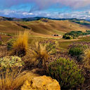 Paso Robles views from DAOU Vineyards
