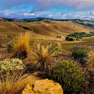Paso Robles views from DAOU Vineyards