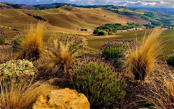 Paso Robles views from DAOU Vineyards