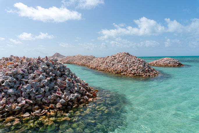 Conch Island, Anegada. Conch Island, Anegada.