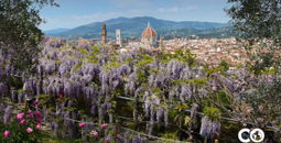 Low Season in Italy