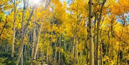 Autumn in Breckenridge, CO