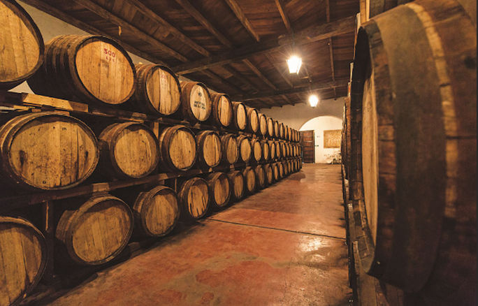 Wine cellar Wine cellar