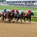 Horse race at Churchill Downs