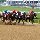 Horse race at Churchill Downs