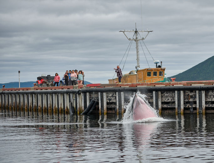 Happy Valley Goose Bay, Newfoundland & Labrador Happy Valley Goose Bay, Newfoundland & Labrador