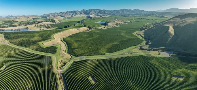 Aerial view of sprawling vineyards in Marlborough, New Zealand. Aerial view of sprawling vineyards in Marlborough, New Zealand.