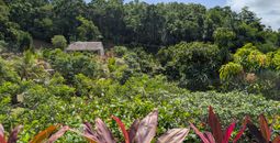 Savane des Esclaves