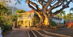View of Montpelier Plantation and Beach Resort